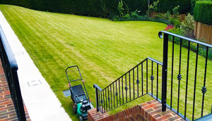Lawn mowing Guildford