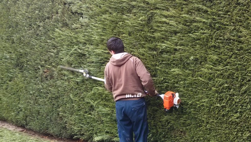 Hedge trimming Godalming, Farncombe