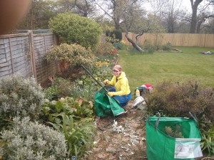 Weeding, garden maintenance Surrey